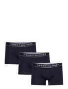 3P Trunk Dtm Tommy Hilfiger Black