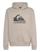 Big Logo Hoodie Youth Quiksilver Beige