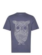 Regular Single Jersey Mountain Owl Knowledge Cotton Apparel Blue