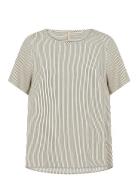 Sc-Palermo Soyaconcept Cream