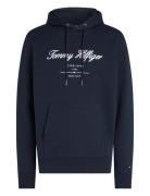 Script Logo Hoody Tommy Hilfiger Navy