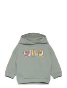 Lion King Sweatshirt Mango Green