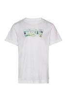 Te-S/S Tee Levi's White