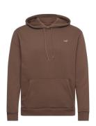 Hco. Guys Sweatshirts Hollister Brown