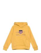 Archive Shield Raglan Hoodie GANT Yellow