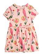 Parrots Aop Ss Dress Mini Rodini Pink