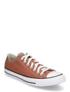 Chuck Taylor All Star Converse Brown