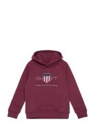 Archive Shield Raglan Hoodie GANT Red