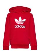 Trefoil Hoodie Adidas Originals Red