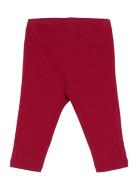 Leggings Rib Newborn Lindex Burgundy