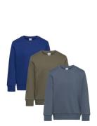 Sweatshirt Basic Solid 3 Pack Lindex Patterned