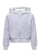 Sweatshirt Velour With Hoodie Lindex Grey