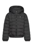 Shield Padded Jacket GANT Black