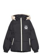 Panda Hooded Puffer Jacket Mini Rodini Black