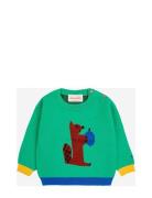 Baby Hungry Squirrel Jumper Bobo Choses Green