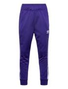 Sst Track Pants Adidas Originals Purple