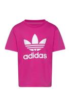 Trefoil Tee Adidas Originals Pink