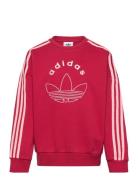 Crew Adidas Originals Red