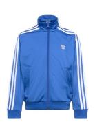 Firebird Top Adidas Originals Blue