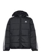 Padded Jacket Adidas Originals Black