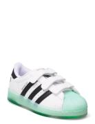 Superstar Led Lights Cf C Adidas Originals White