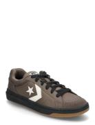 Pro Blaze Classic Converse Brown