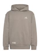 Mer Ps Hood M Adidas Performance Beige