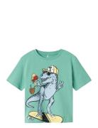 Nmmdino Nreg Ss Top Box Name It Green