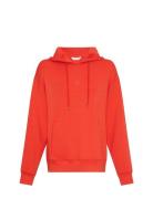 Mschima Q Icon Hood Sweatshirt MSCH Copenhagen Red