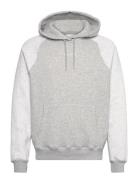 Hco. Guys Sweatshirts Hollister Grey