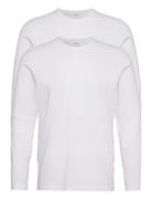 Emil 2-Pack Long Sleeve WOOD WOOD White