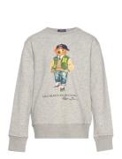 Polo Bear Fleece Sweatshirt Ralph Lauren Kids Grey