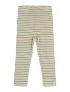 Legging Modal Striped Petit Piao Green