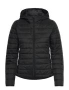 Jacket United Colors Of Benetton Black