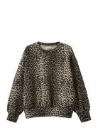 Elisy Sweatshirt Sofie Schnoor Young Brown