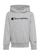 Hooded Sweatshirt Champion Grey