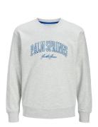 Jjdetroit Sweat Crew Neck Jack & J S Grey