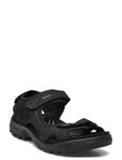 Offroad ECCO Black