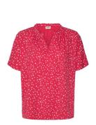 Frkamma Bl 1 Fransa Red