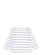 Striped Cotton T-Shirt Mango White