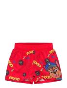 Swimsuit Paw Patrol Patterned