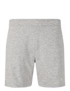 Kayden M Sweat Shorts Virtus Grey