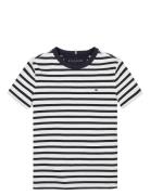 Essential Cotton Reg Tee Ss Tommy Hilfiger Navy