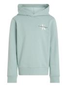 Small Monogram Hoodie Calvin Klein Green