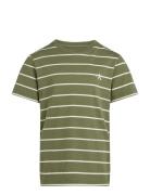 2P Striped T-Shirts Calvin Klein Green