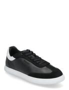Cupsole Lace Up - Lth Sue Mix Calvin Klein Black