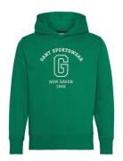 Graphic Sweat Hoodie GANT Green