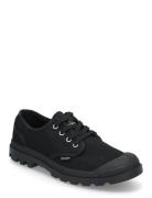 Pampa Oxford Palladium Black