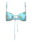 La Habana To Desigual Blue