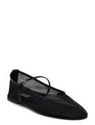 Mash Balerina Steve Madden Black